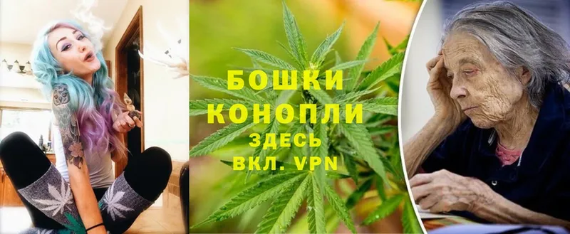 Бошки Шишки Bruce Banner  купить наркоту  Бакал 